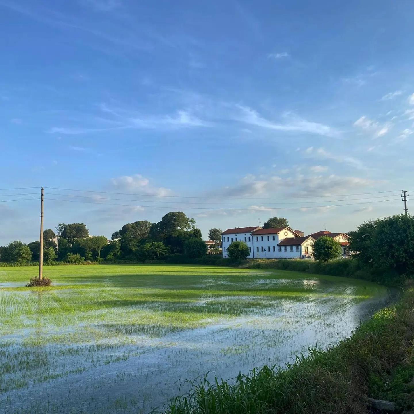 Cascina Mora Bassa Vigevano Exterior foto
